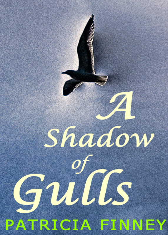 A Shadow of Gulls